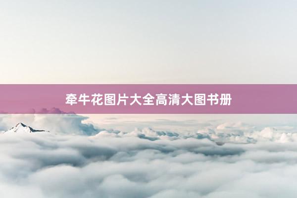 牵牛花图片大全高清大图书册