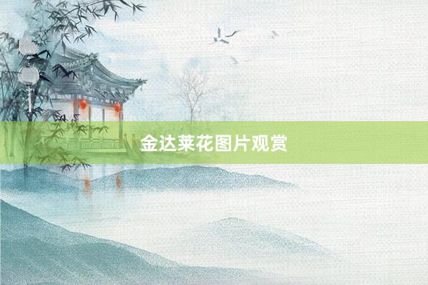 金达莱花图片观赏